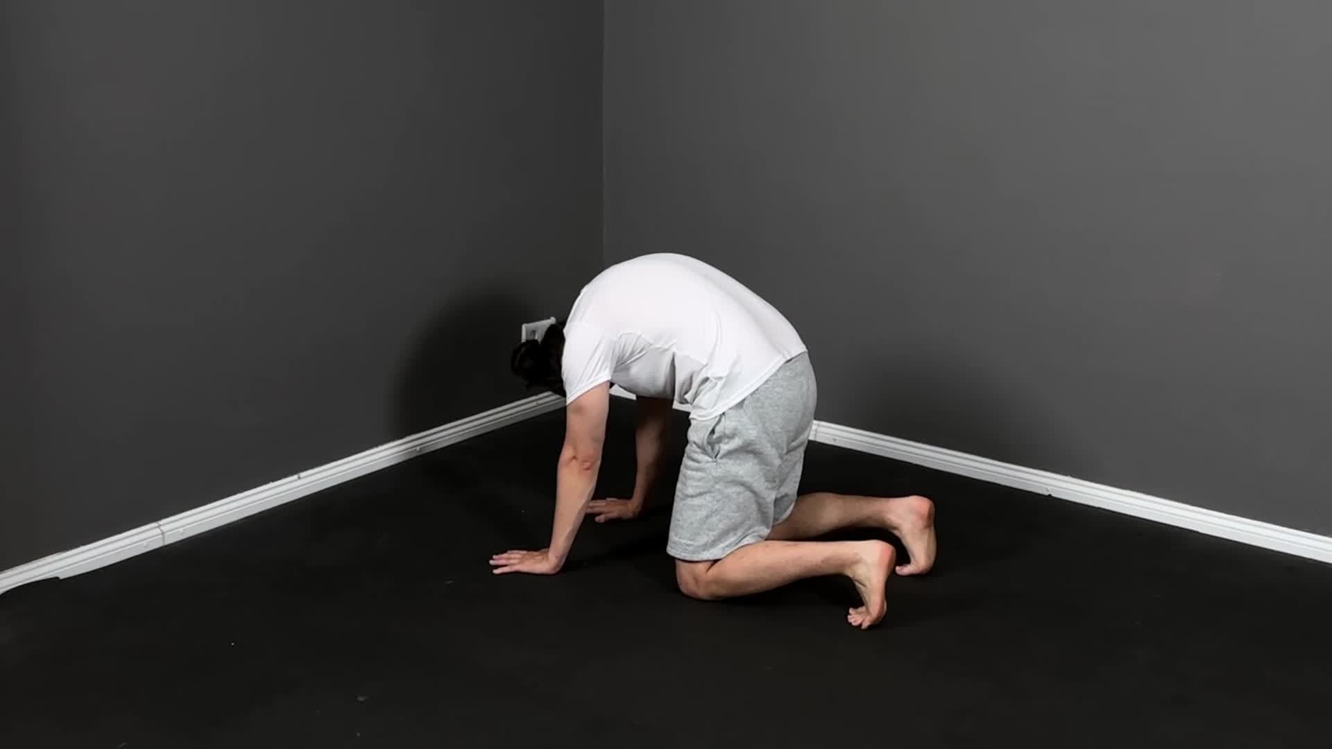 Spine Flexion Stretches